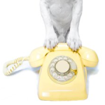 Запись в студию